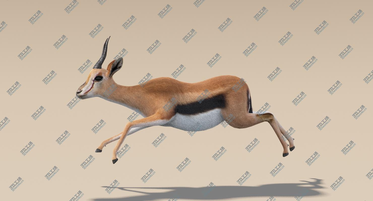 images/goods_img/202105071/3D Gazelle (Fur) Animated model/3.jpg